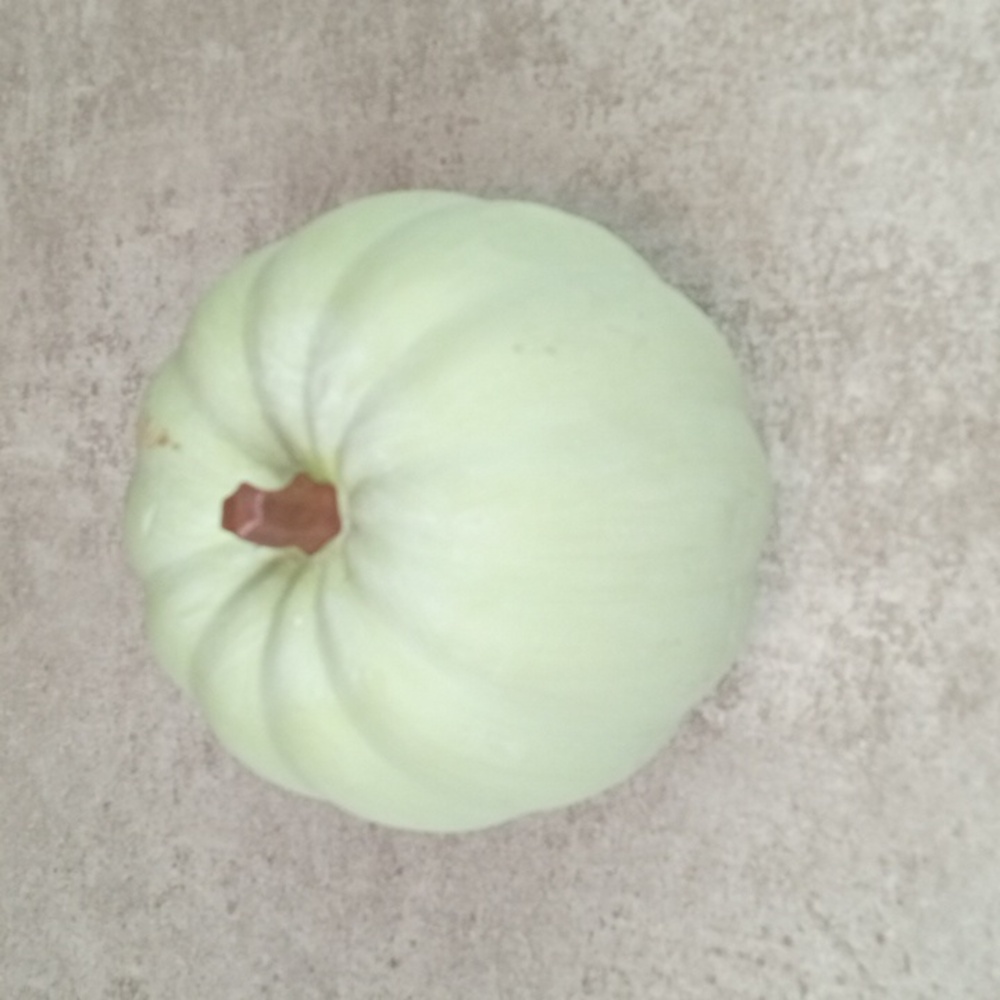 🍂 Fall Green Pumpkin Decor